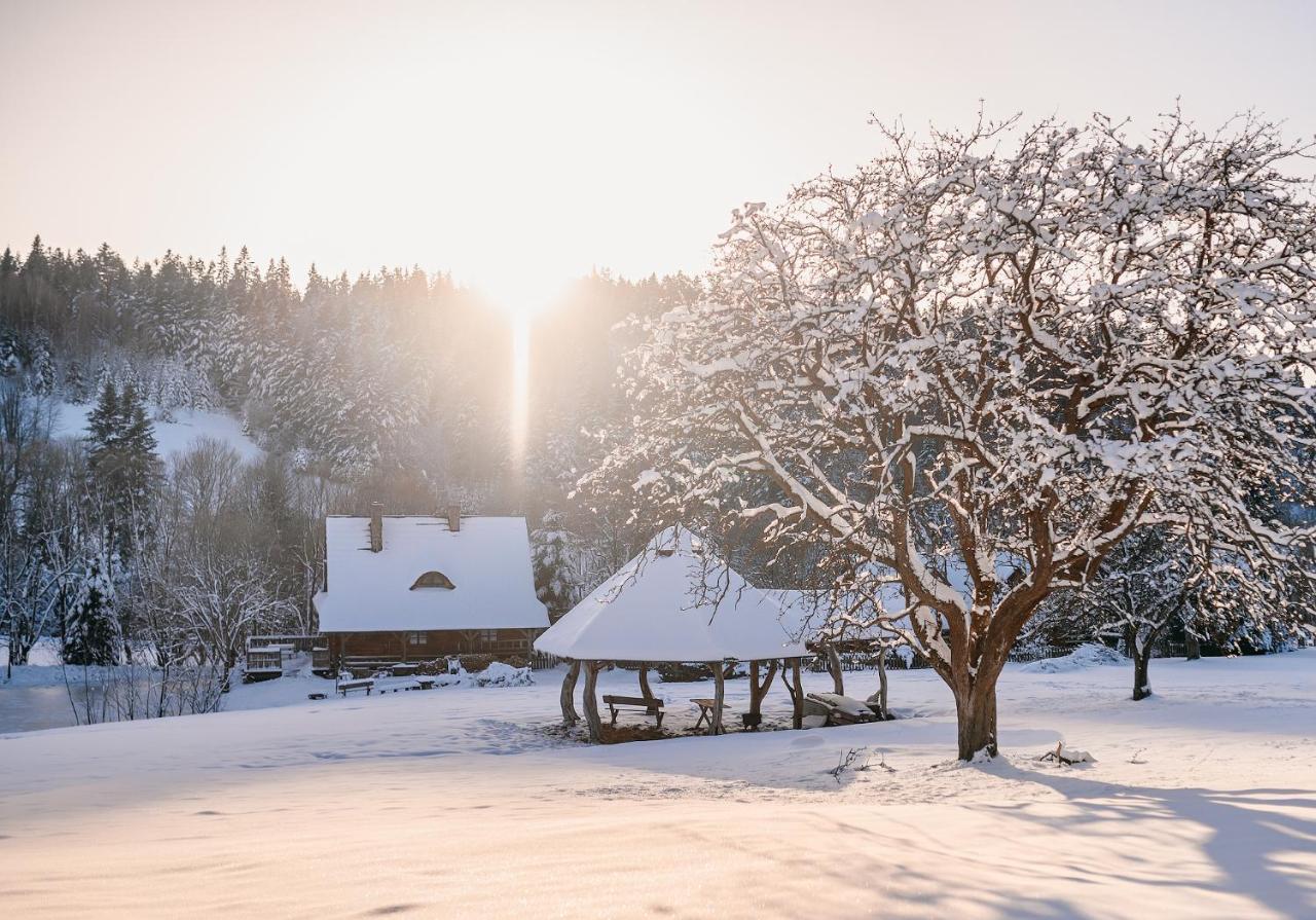 Przystanek Ropienka Lesniczowka Villa Bagian luar foto