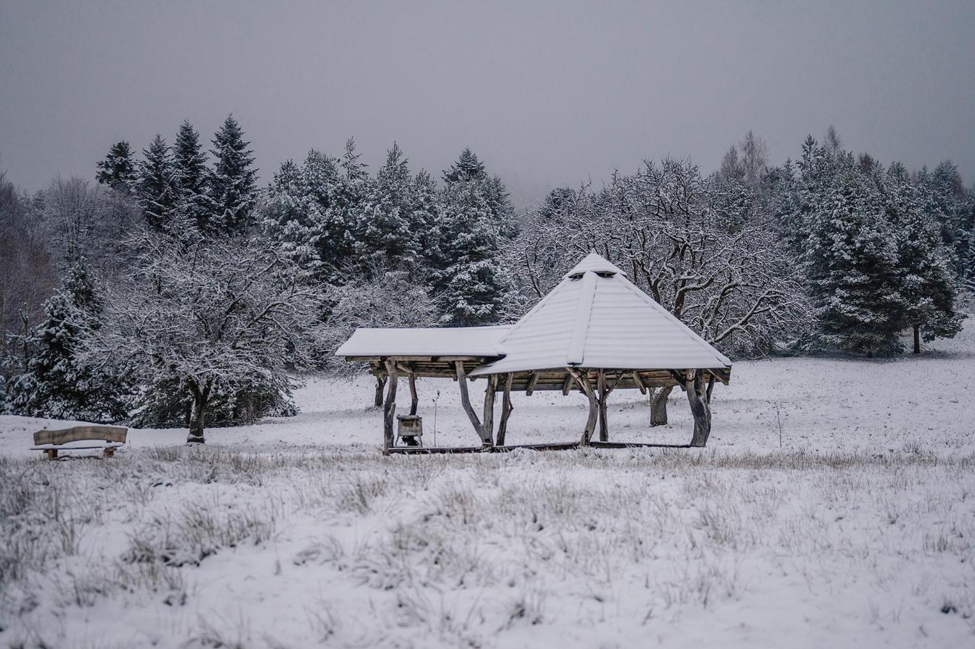 Przystanek Ropienka Lesniczowka Villa Bagian luar foto